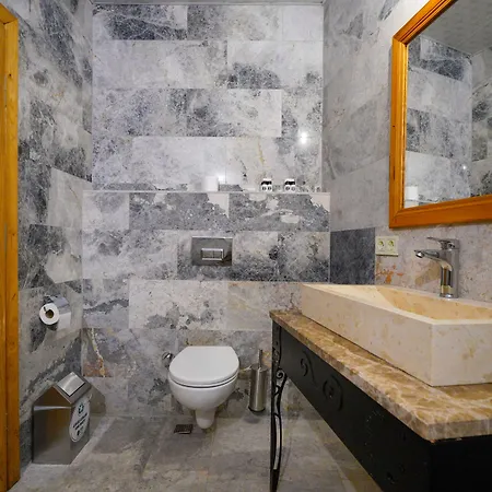 Cave Saksagan מלון